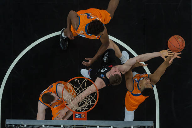 自然的魅力 自然的魅力